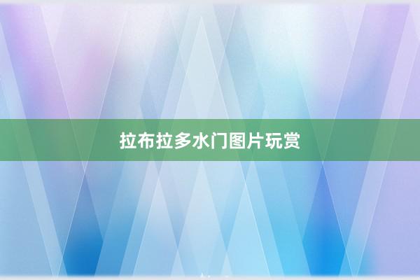 拉布拉多水门图片玩赏